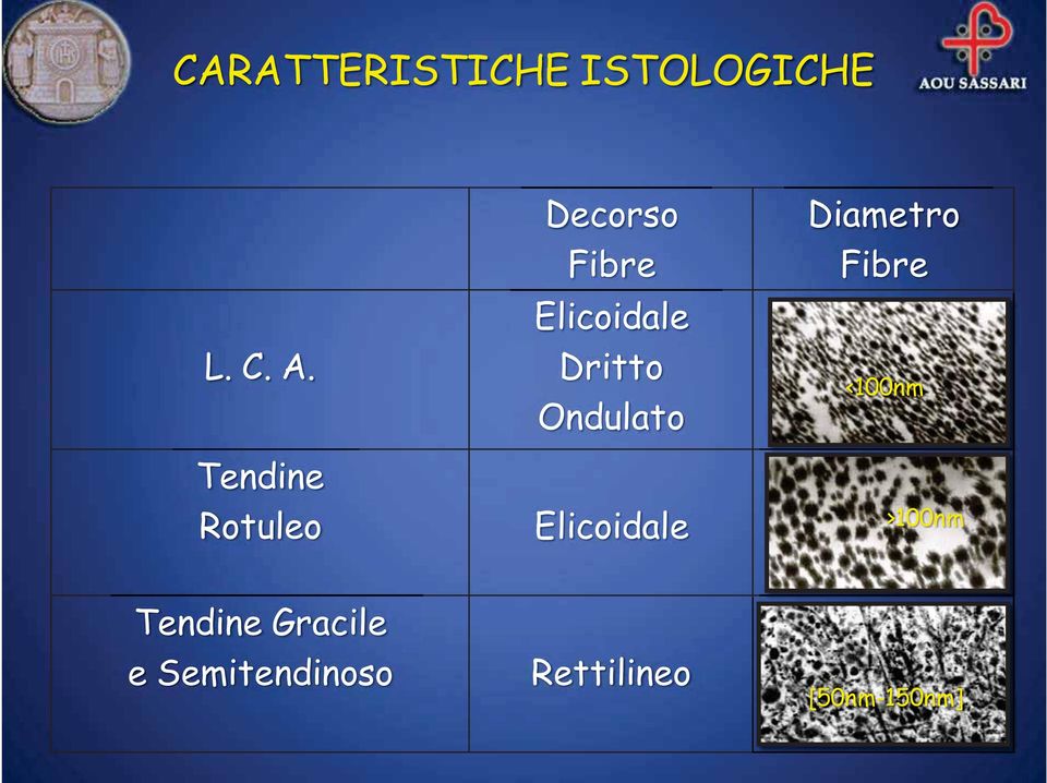 Ondulato Elicoidale Diametro Fibre <100nm