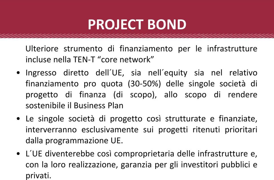 Business Plan Le singole società di progetto così strutturate e finanziate, interverranno esclusivamente sui progetti ritenuti prioritari dalla