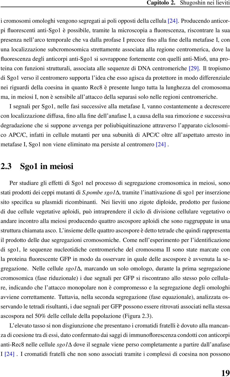 metafase I, con una localizzazione subcromosomica strettamente associata alla regione centromerica, dove la fluorescenza degli anticorpi anti-sgo1 si sovrappone fortemente con quelli anti-mis6, una