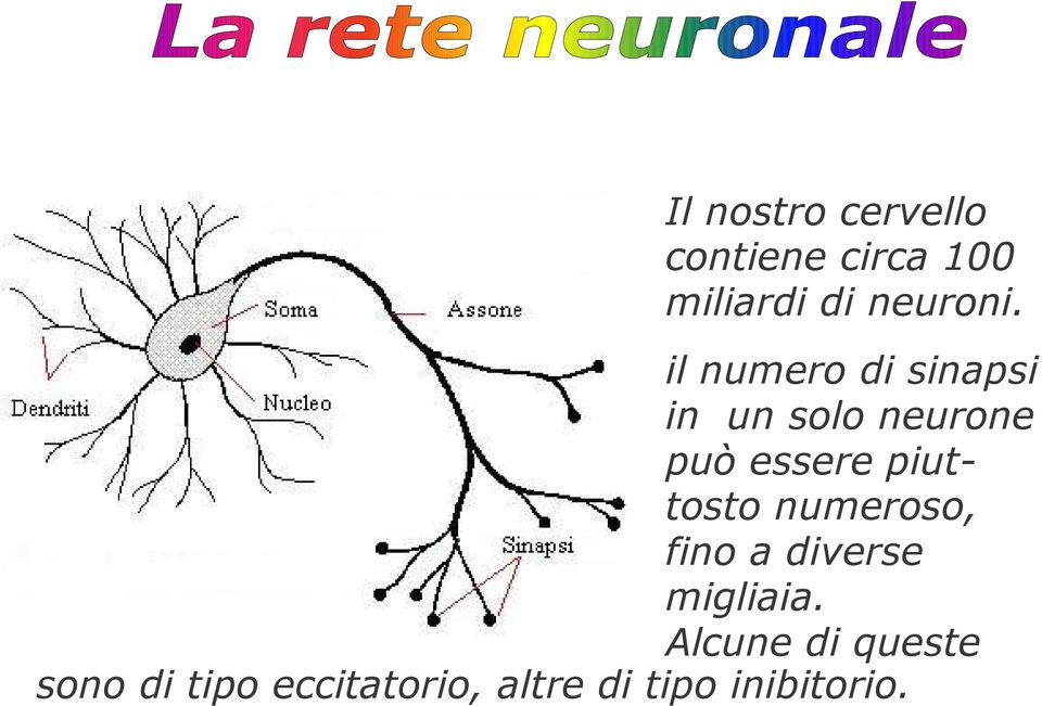 il numero di sinapsi in un solo neurone può essere