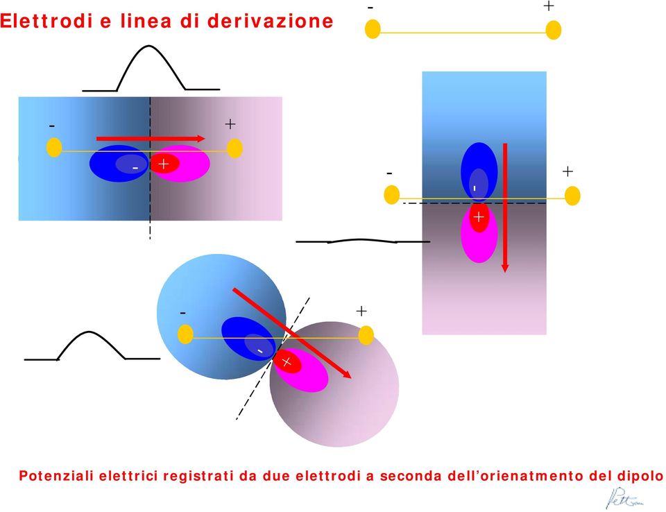 elettrici registrati da due