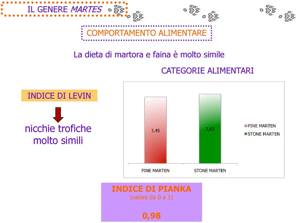 CATEGORIE ALIMENTARI INDICE DI LEVIN nicchie