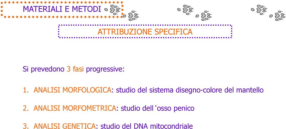 ANALISI MORFOLOGICA: studio del sistema disegno-colore del