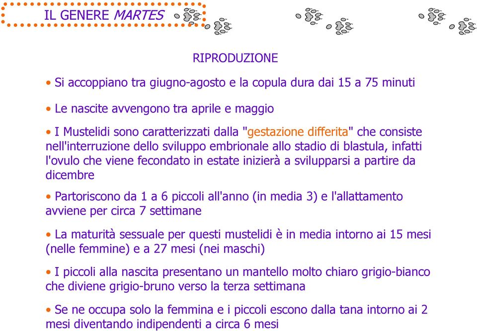 piccoli all'anno (in media 3) e l'allattamento avviene per circa 7 settimane La maturità sessuale per questi mustelidi è in media intorno ai 15 mesi (nelle femmine) e a 27 mesi (nei maschi) I piccoli