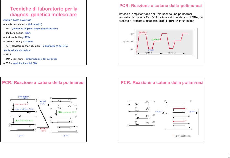 Sequencing - determinazione dei nucleotidi PCR amplificazione del DNA PCR: Reazione a catena della polimerasi Metodo di amplificazione del DNA usando una polimerasi termostabile