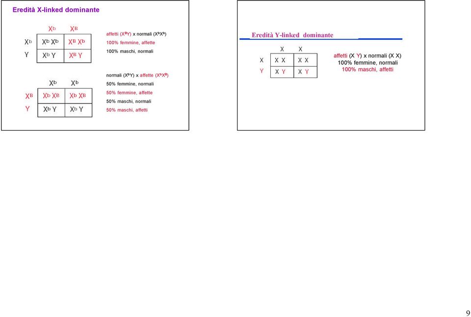 normali 50% femmine, affette 50% maschi, normali 50% maschi, affetti Eredità