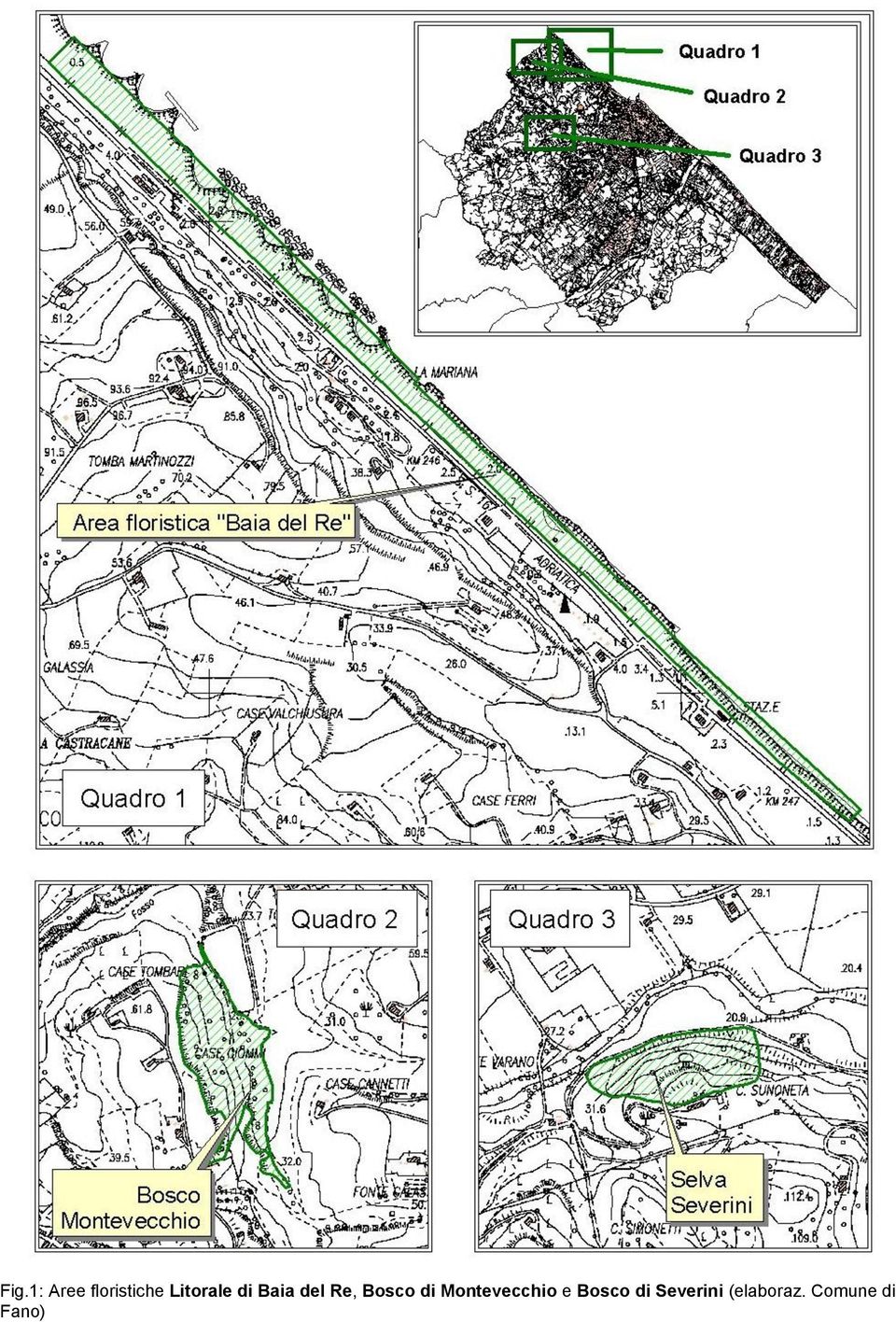 Bosco di Montevecchio e Bosco