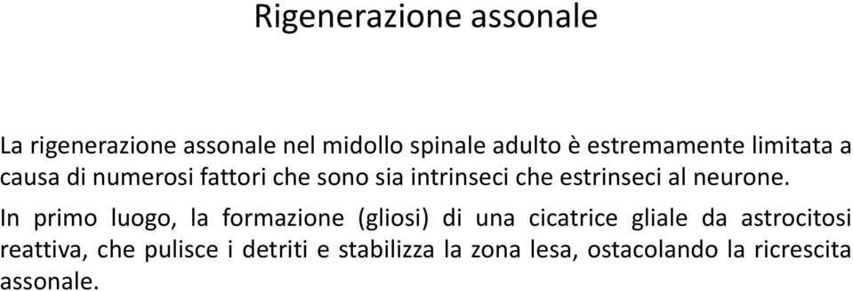 estrinseci al neurone.