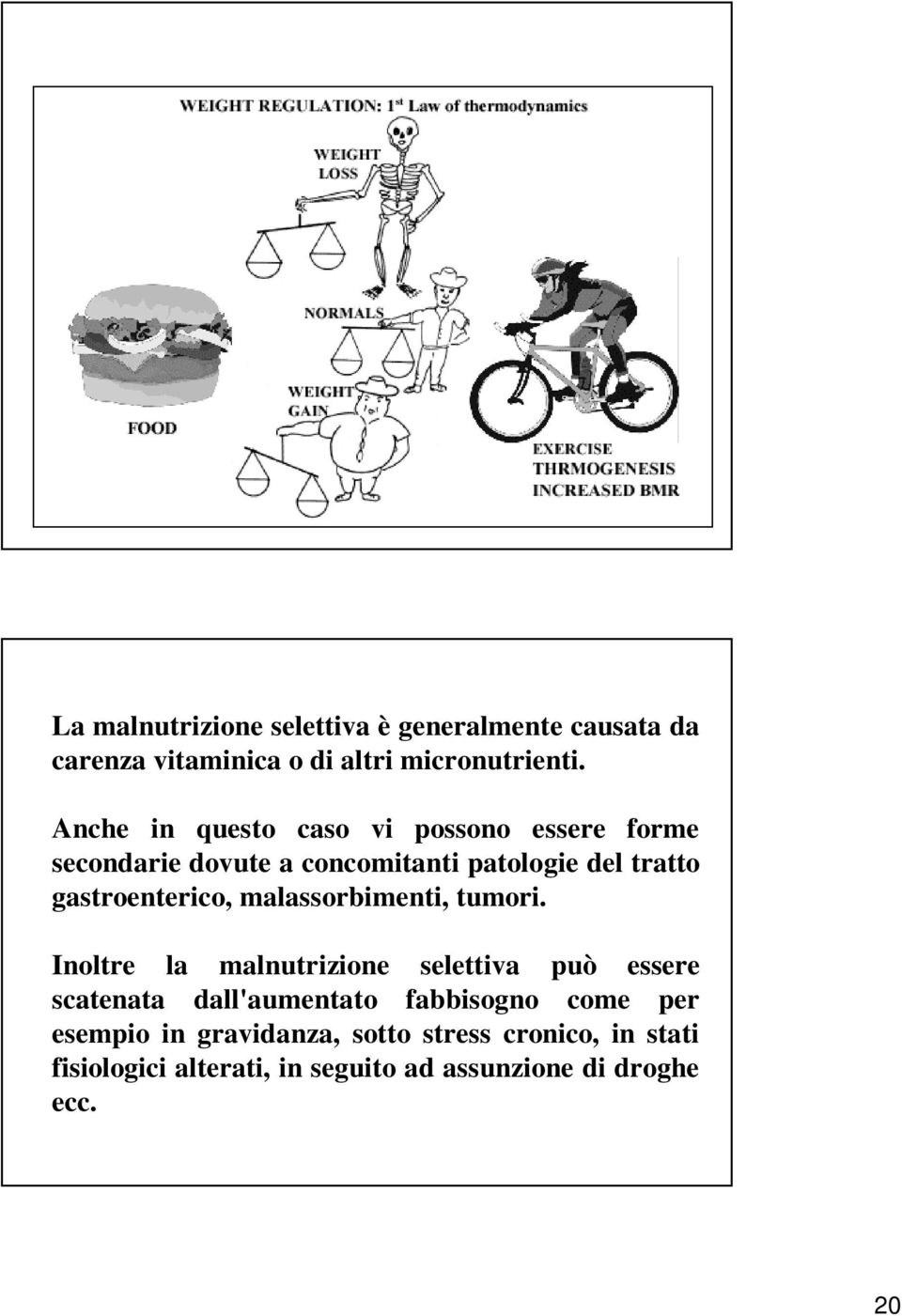 gastroenterico, malassorbimenti, tumori.