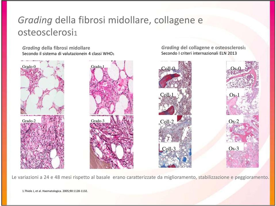 Grado-1 Coll-0 Os-0 Coll-1 Os-1 Grado-2 Grado-3 Coll-2 Os-2 Coll-3 Os-3 Le variazioni a 24 e 48 mesi rispetto al