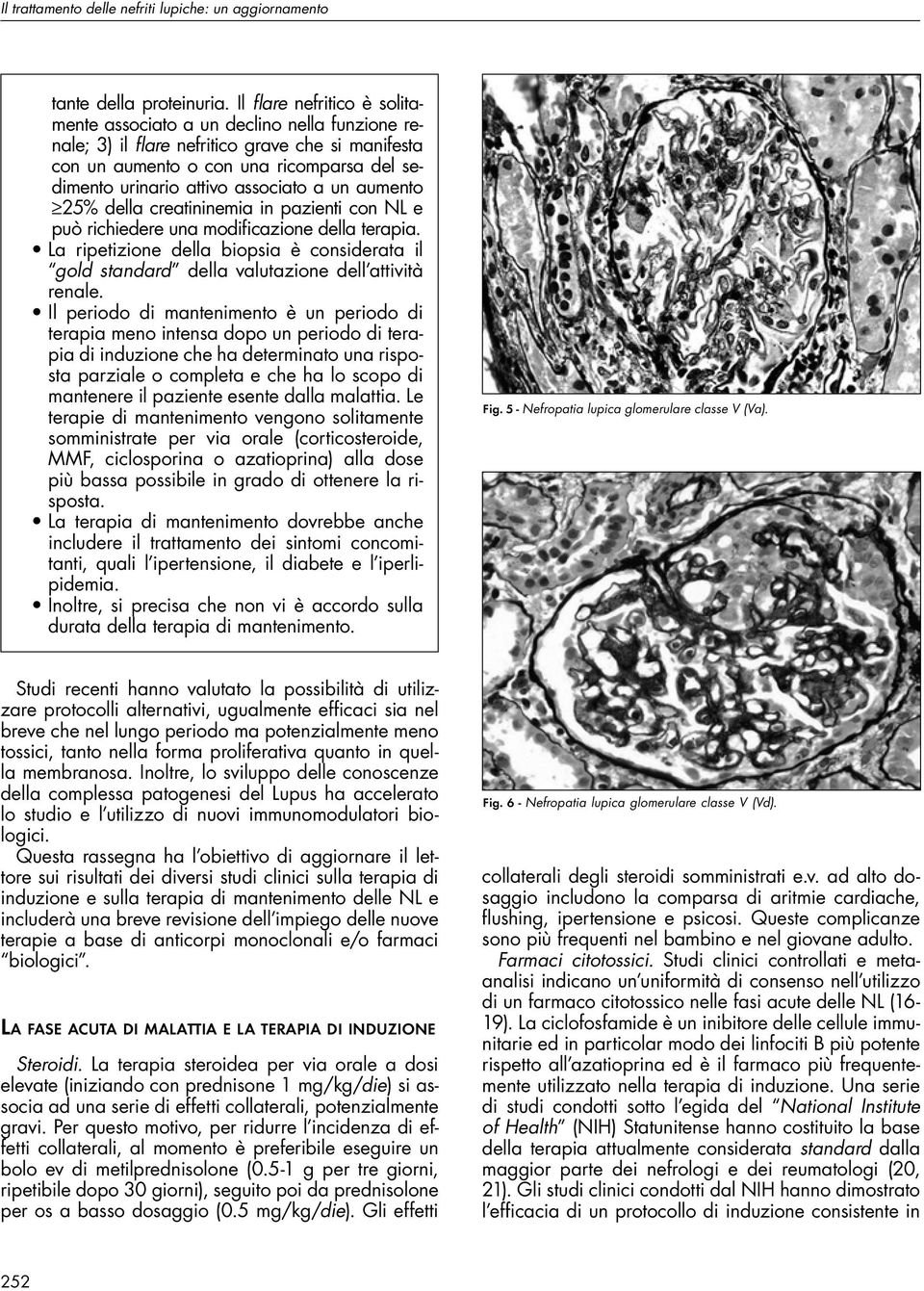 a un aumento 25% della creatininemia in pazienti con NL e può richiedere una modificazione della terapia.