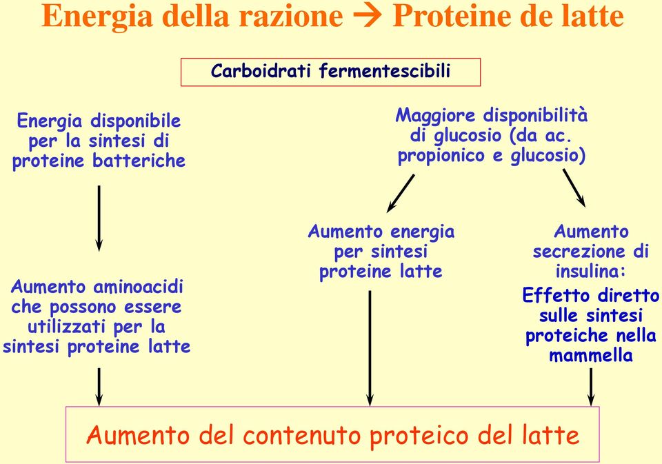 propionico e glucosio) Aumento aminoacidi che possono essere utilizzati per la sintesi proteine latte Aumento