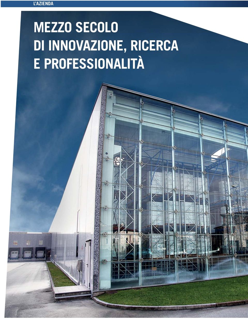 INNOVAZIONE,