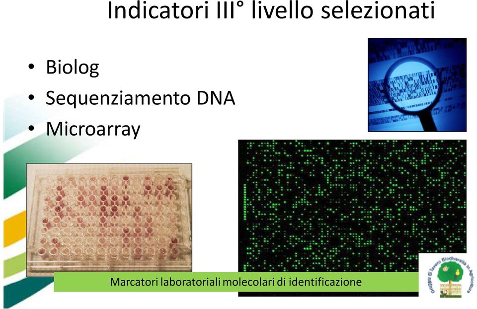 Sequenziamento DNA Microarray