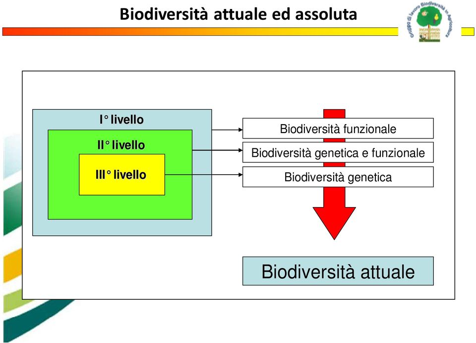 Biodiversità funzionale Biodiversità