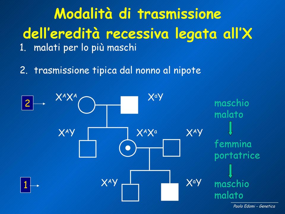 trasmissione tipica dal nonno al nipote 2 XAXA XaY