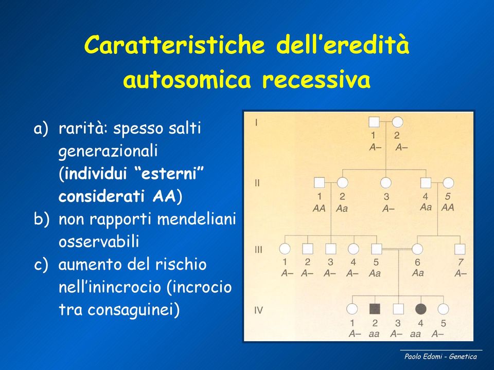 considerati AA) b) non rapporti mendeliani osservabili