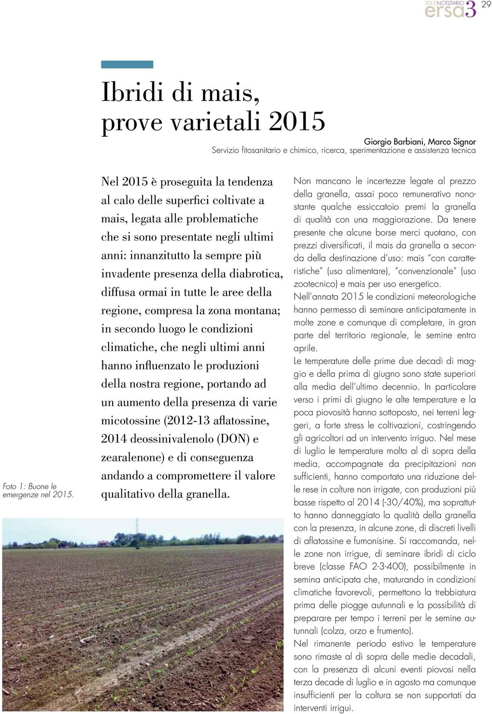 della diabrotica, diffusa ormai in tutte le aree della regione, compresa la zona montana; in secondo luogo le condizioni climatiche, che negli ultimi anni hanno influenzato le produzioni della nostra