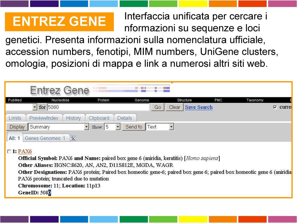 Presenta informazioni sulla nomenclatura ufficiale, accession