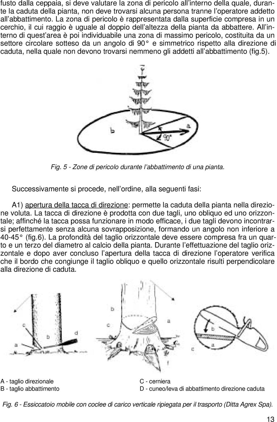 All interno di quest area è poi individuabile una zona di massimo pericolo, costituita da un settore circolare sotteso da un angolo di 90 e simmetrico rispetto alla direzione di caduta, nella quale