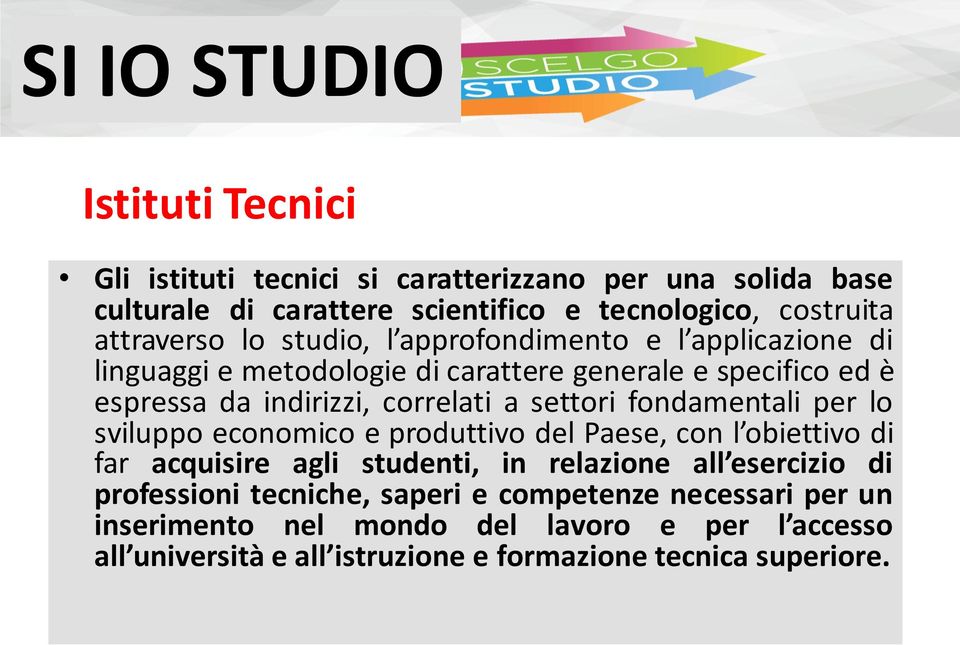 fondamentali per lo sviluppo economico e produttivo del Paese, con l obiettivo di far acquisire agli studenti, in relazione all esercizio di professioni