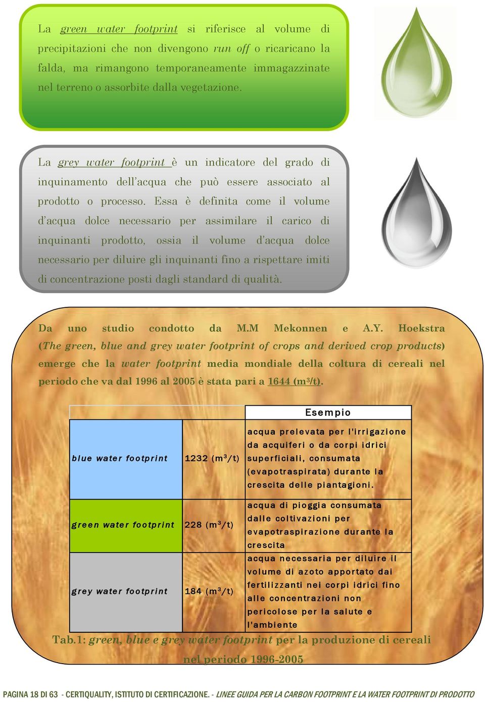 Essa è definita come il volume d acqua dolce necessario per assimilare il carico di inquinanti prodotto, ossia il volume d acqua dolce necessario per diluire gli inquinanti fino a rispettare imiti di