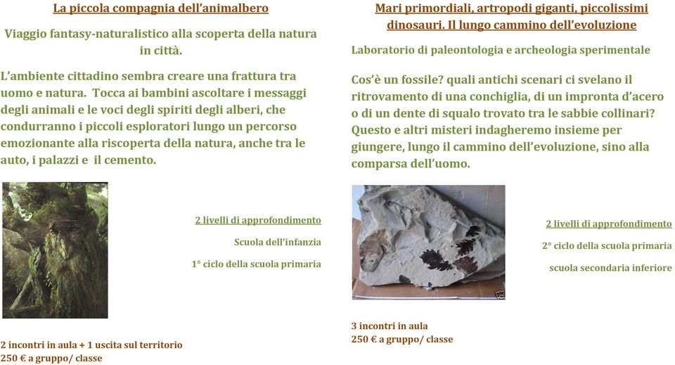 le auto, i palazzi e il cemento. Mari primordiali, artropodi giganti, piccolissimi dinosauri. Il lungo cammino dell evoluzione Laboratorio di paleontologia e archeologia sperimentale Cos è un fossile?