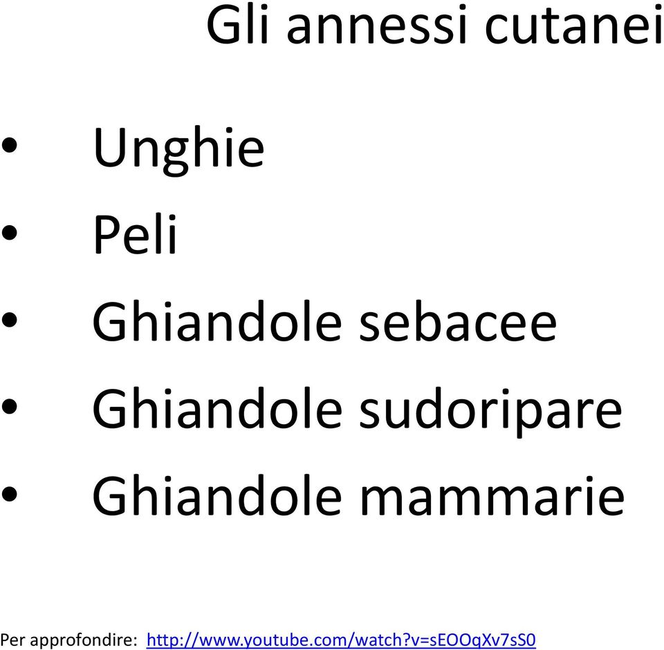 sudoripare Ghiandole mammarie Per