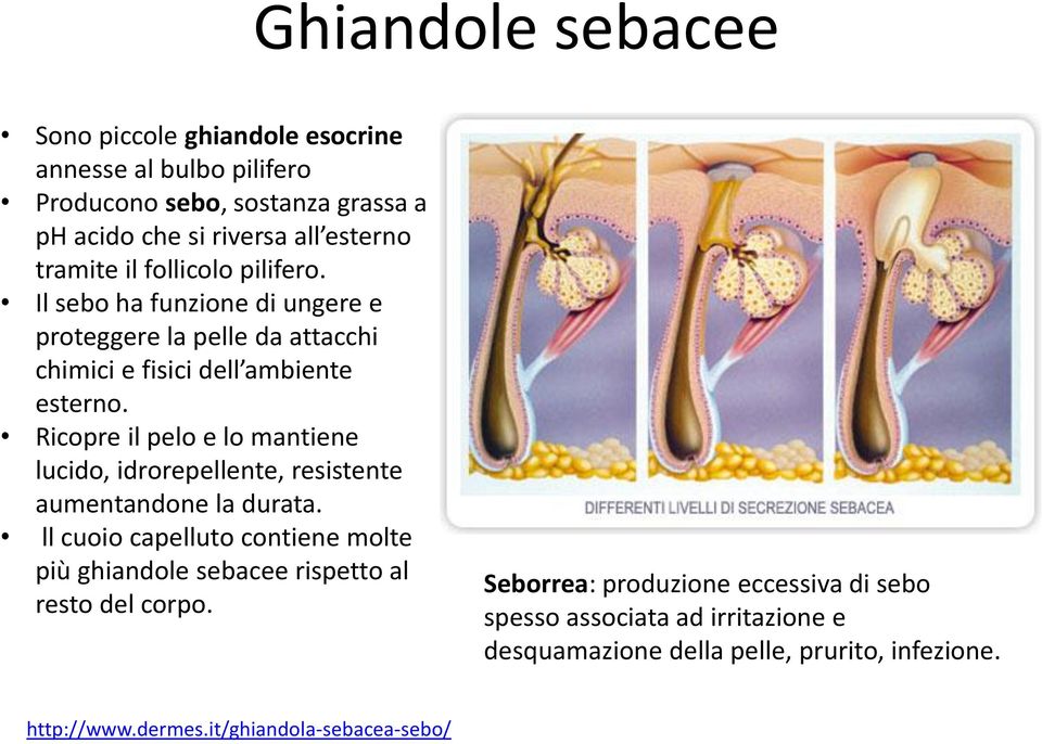 Ricopre il pelo e lo mantiene lucido, idrorepellente, resistente aumentandone la durata.