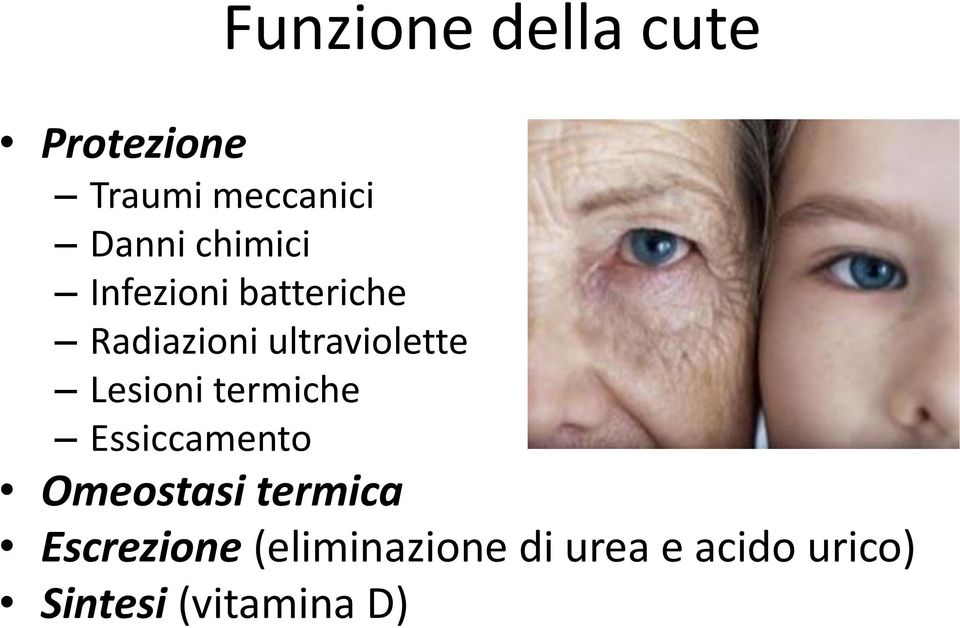 Lesioni termiche Essiccamento Omeostasi termica