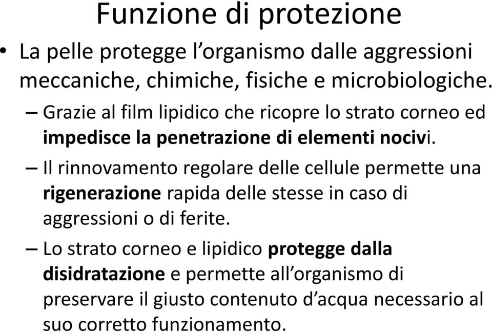 Il rinnovamento regolare delle cellule permette una rigenerazione rapida delle stesse in caso di aggressioni o di ferite.