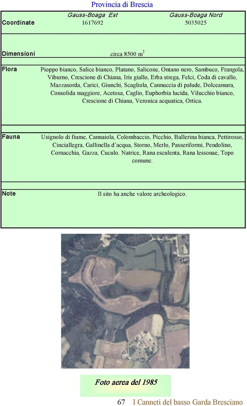 lucida, Vilucchio bianco, Crescione di Chiana, Veronica acquatica, Ortica.