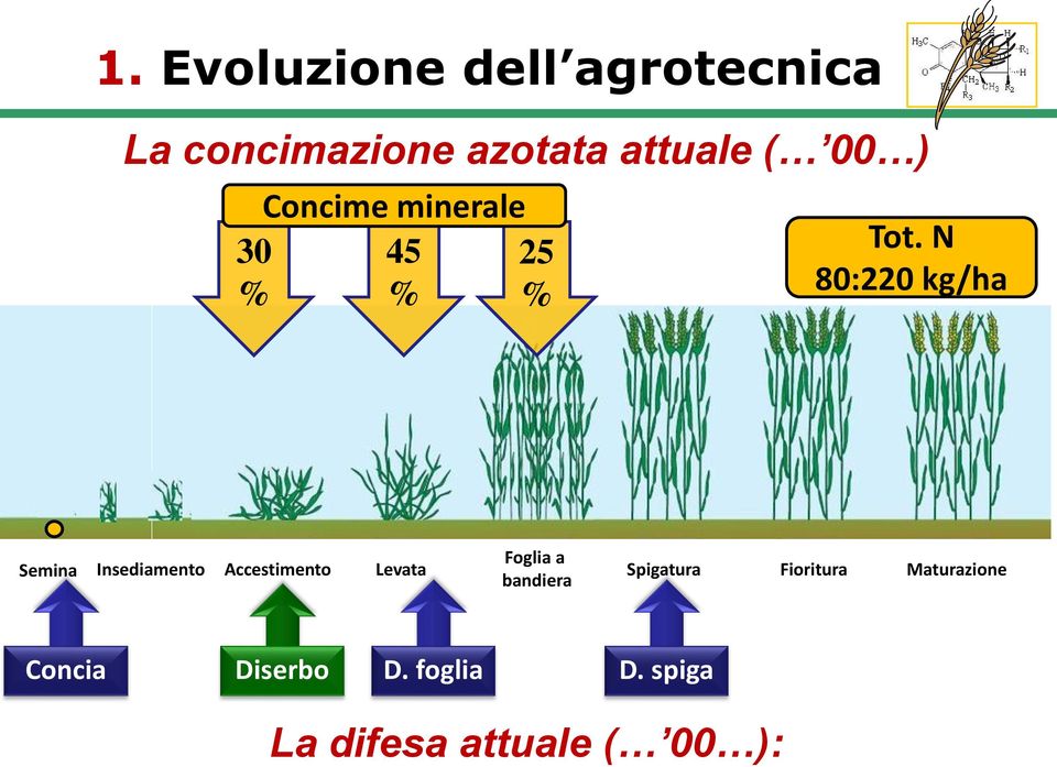 N 80:220 kg/ha Semina Foglia a Insediamento Accestimento Levata