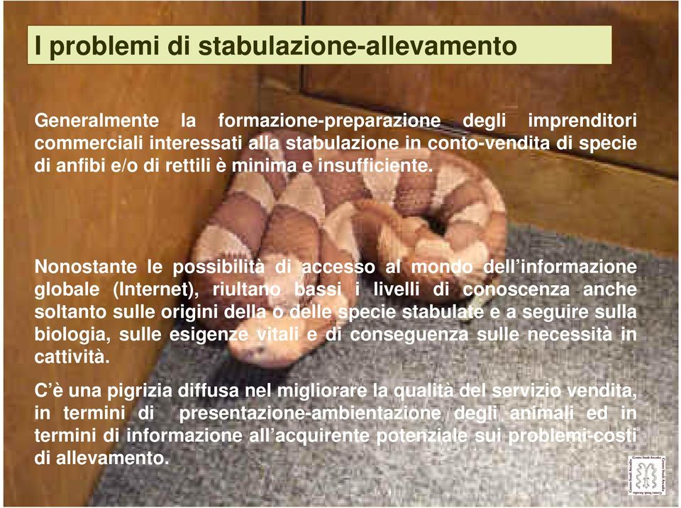 Nonostante le possibilità di accesso al mondo dell informazione globale (Internet), riultano bassi i livelli di conoscenza anche soltanto sulle origini della o delle specie