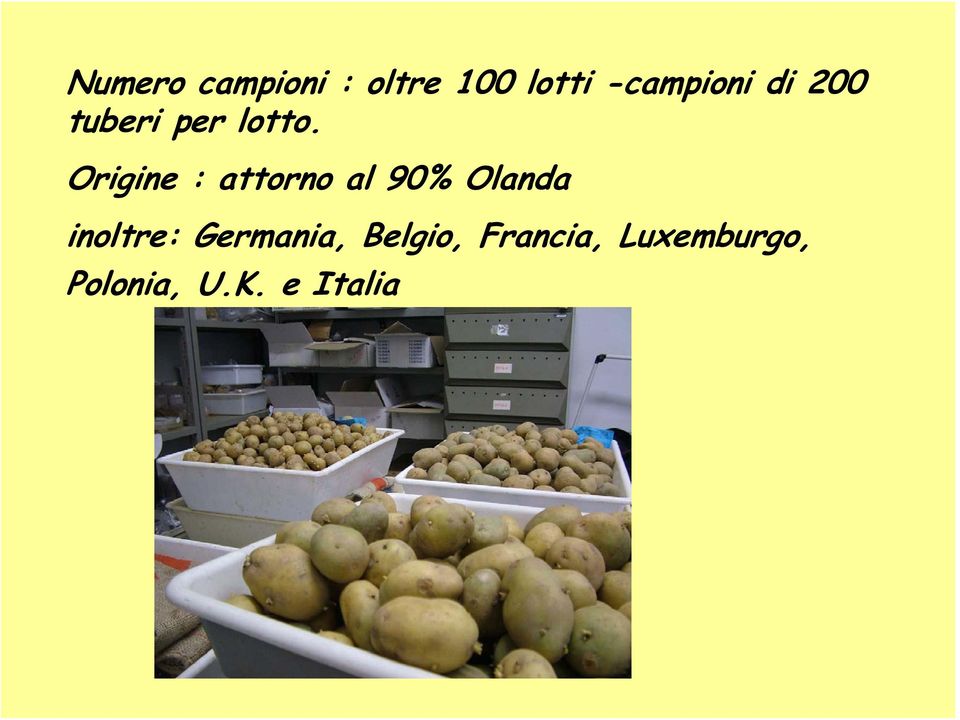 Origine : attorno al 90% Olanda inoltre: