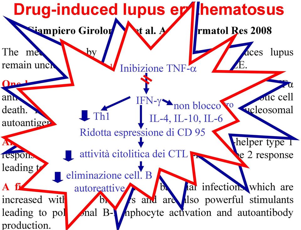 Lupus-Like da Infliximab One hypothesis could be the ability of the therapeutic anti-tnfα antibodies to bind to Ipotesi cell 2: surface TNF-α TNFα non è una and citochina induce apoptotic cell chiave