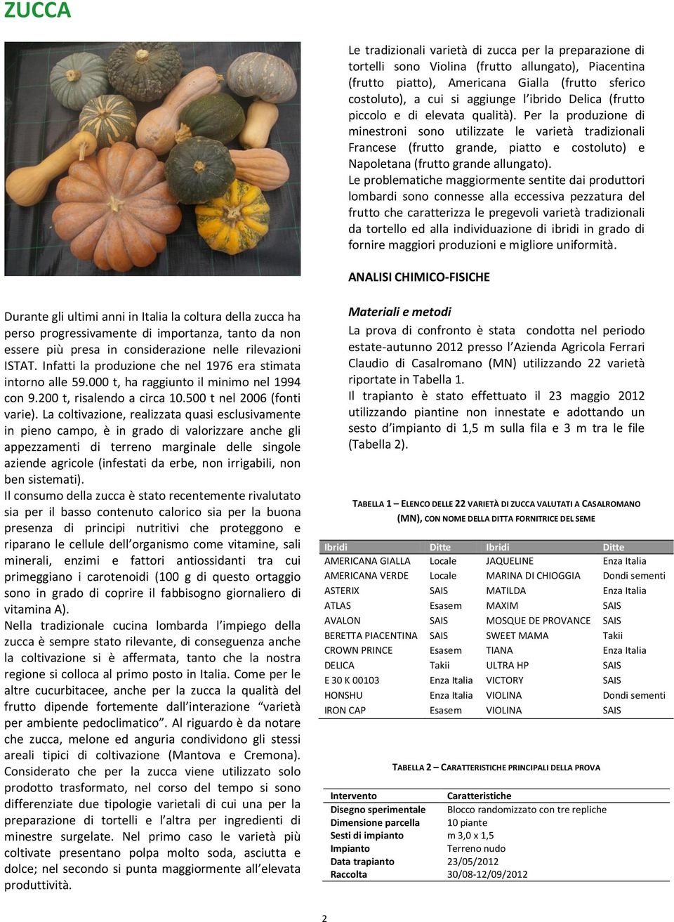 Per la produzione di minestroni sono utilizzate le varietà tradizionali Francese (frutto grande, piatto e costoluto) e Napoletana (frutto grande allungato).