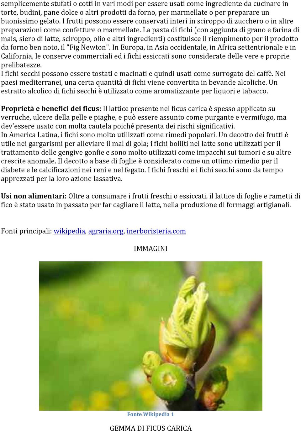 lapastadifichi(conaggiuntadigranoefarinadi mais,sierodilatte,sciroppo,olioealtriingredienti)costituisceilriempimentoperilprodotto dafornobennoto,il"fignewton".