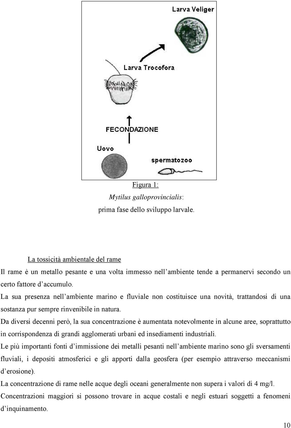 La sua presenza nell ambiente marino e fluviale non costituisce una novità, trattandosi di una sostanza pur sempre rinvenibile in natura.