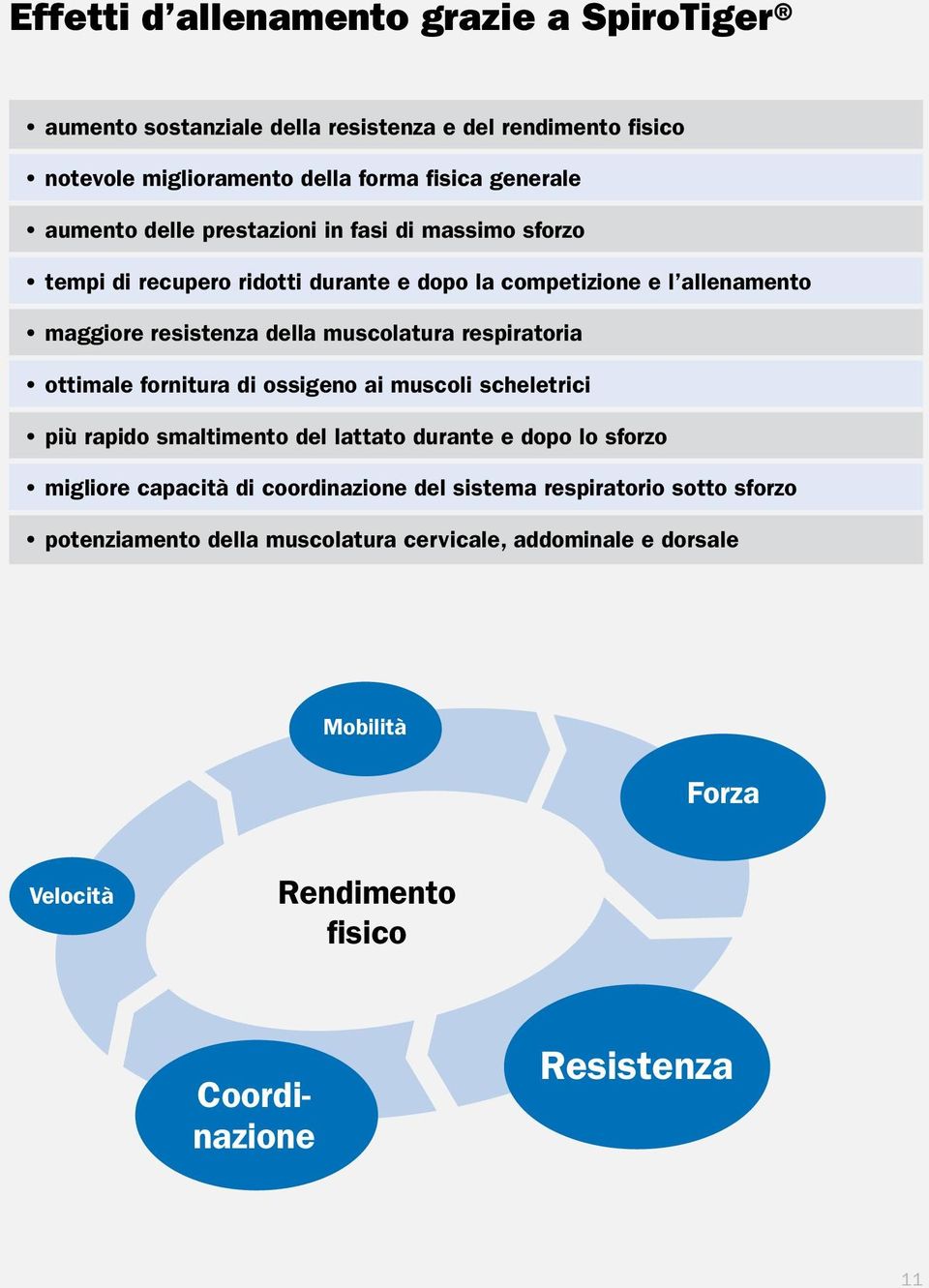 respiratoria ottimale fornitura di ossigeno ai muscoli scheletrici più rapido smaltimento del lattato durante e dopo lo sforzo migliore capacità di coordinazione