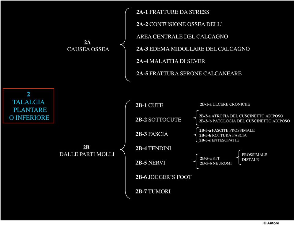 2B-2-a ATROFIA DEL CUSCINETTO ADIPOSO 2B-2- b PATOLOGIA DEL CUSCINETTO ADIPOSO 2B DALLE PARTI MOLLI 2B-3 FASCIA 2B-4 TENDINI 2B-5 NERVI