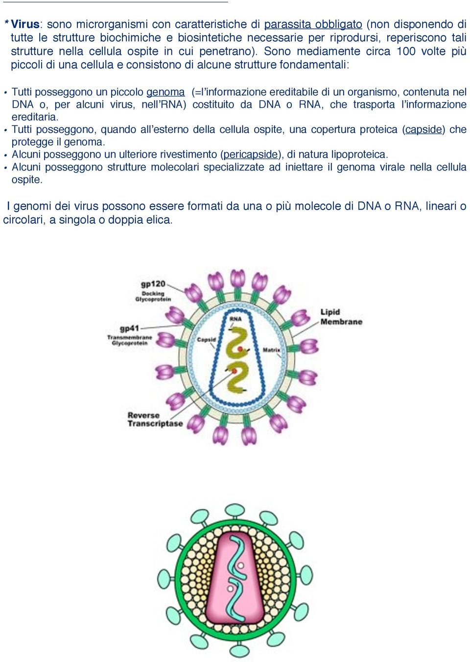 Sono mediamente circa 100 volte più piccoli di una cellula e consistono di alcune strutture fondamentali: Tutti posseggono un piccolo genoma (=lʼinformazione ereditabile di un organismo, contenuta