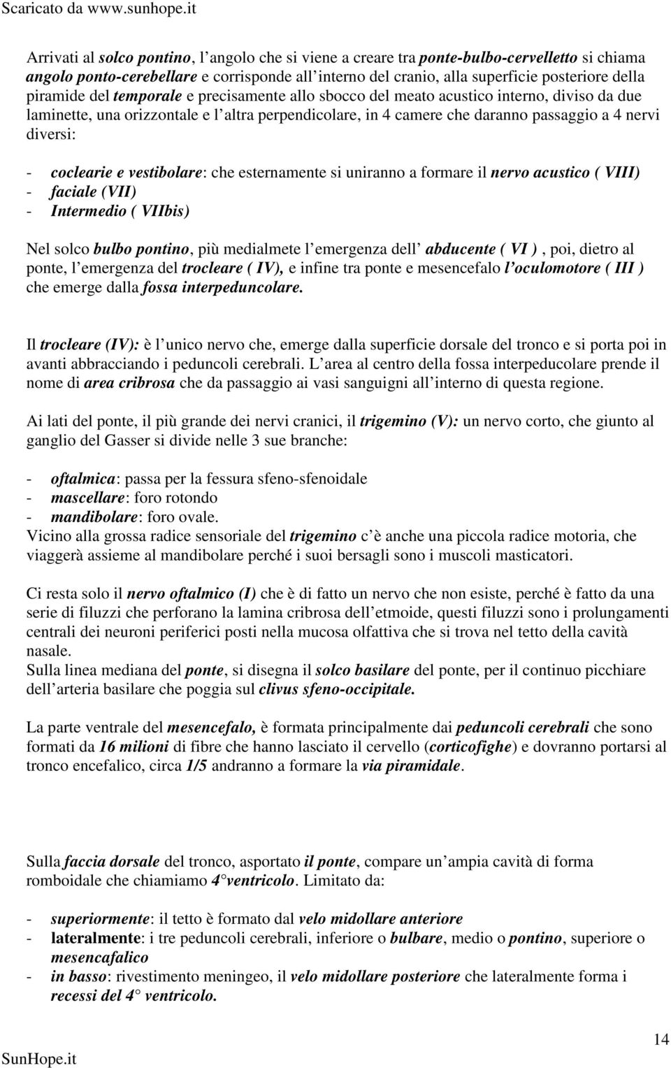 coclearie e vestibolare: che esternamente si uniranno a formare il nervo acustico ( VIII) - faciale (VII) - Intermedio ( VIIbis) Nel solco bulbo pontino, più medialmete l emergenza dell abducente (