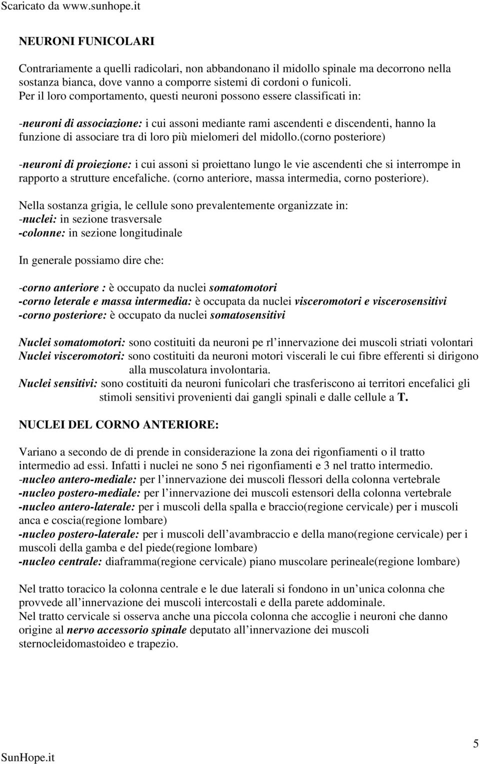 mielomeri del midollo.(corno posteriore) -neuroni di proiezione: i cui assoni si proiettano lungo le vie ascendenti che si interrompe in rapporto a strutture encefaliche.