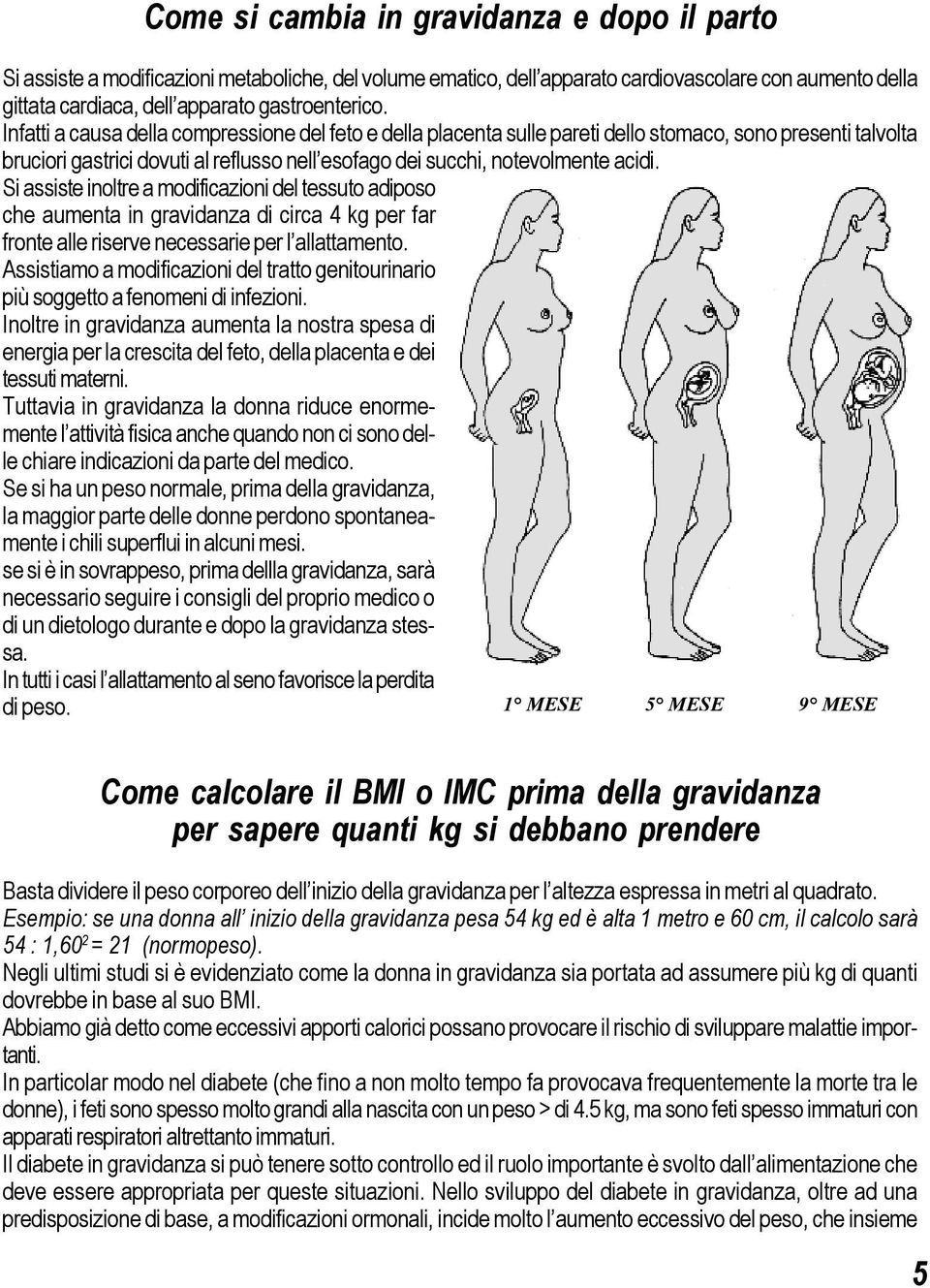 Si assiste inoltre a modificazioni del tessuto adiposo che aumenta in gravidanza di circa 4 kg per far fronte alle riserve necessarie per l allattamento.