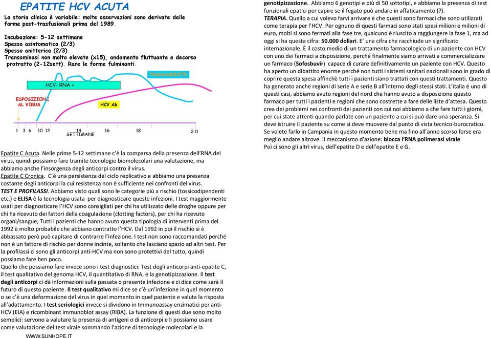 ESPOSIZIONE AL VIRUS HCV- RNA + HCV Ab TRANSAMINITE 1 3 6 10 12 14 16 18 2 0 SETTIMANE Epatite C Acuta.