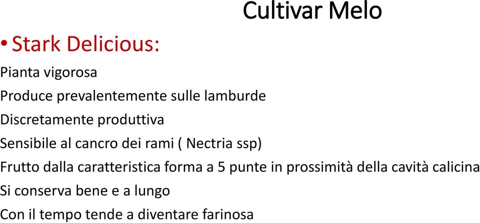 Nectria ssp) Frutto dalla caratteristica forma a 5 punte in prossimità