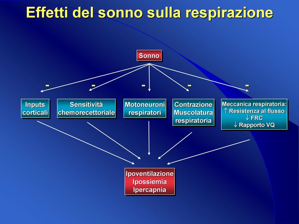 Contrazione Muscolatura respiratoria Meccanica respiratoria: