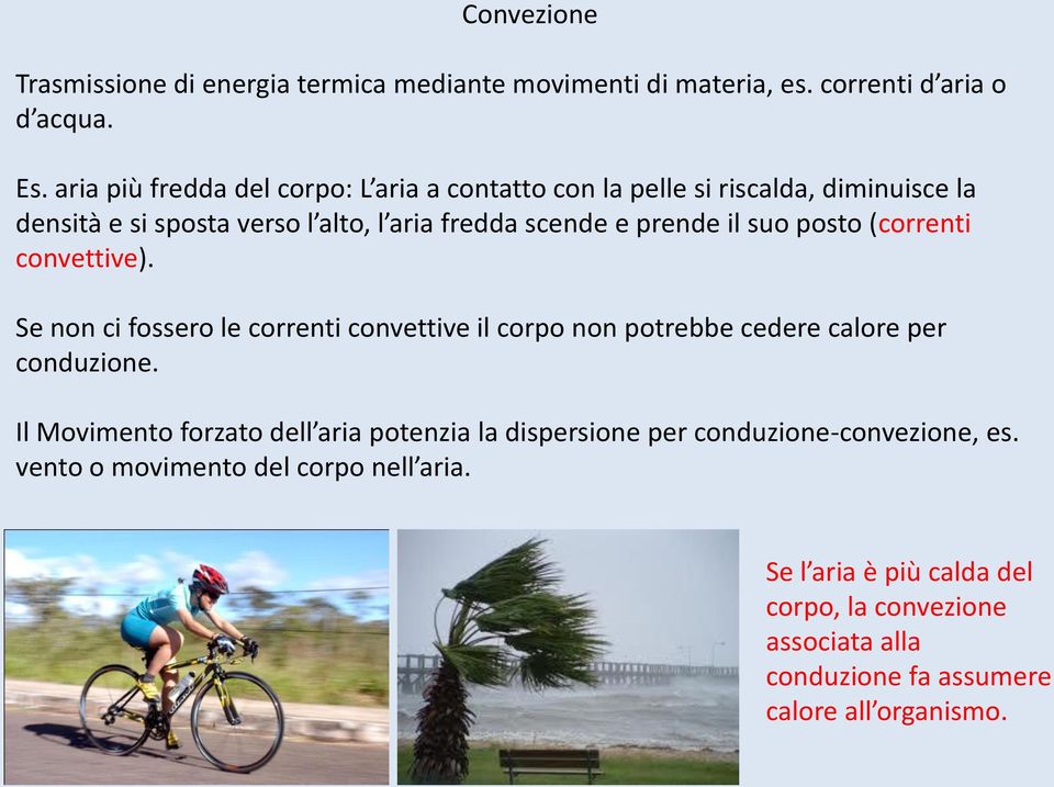 suo posto (correnti convettive). Se non ci fossero le correnti convettive il corpo non potrebbe cedere calore per conduzione.