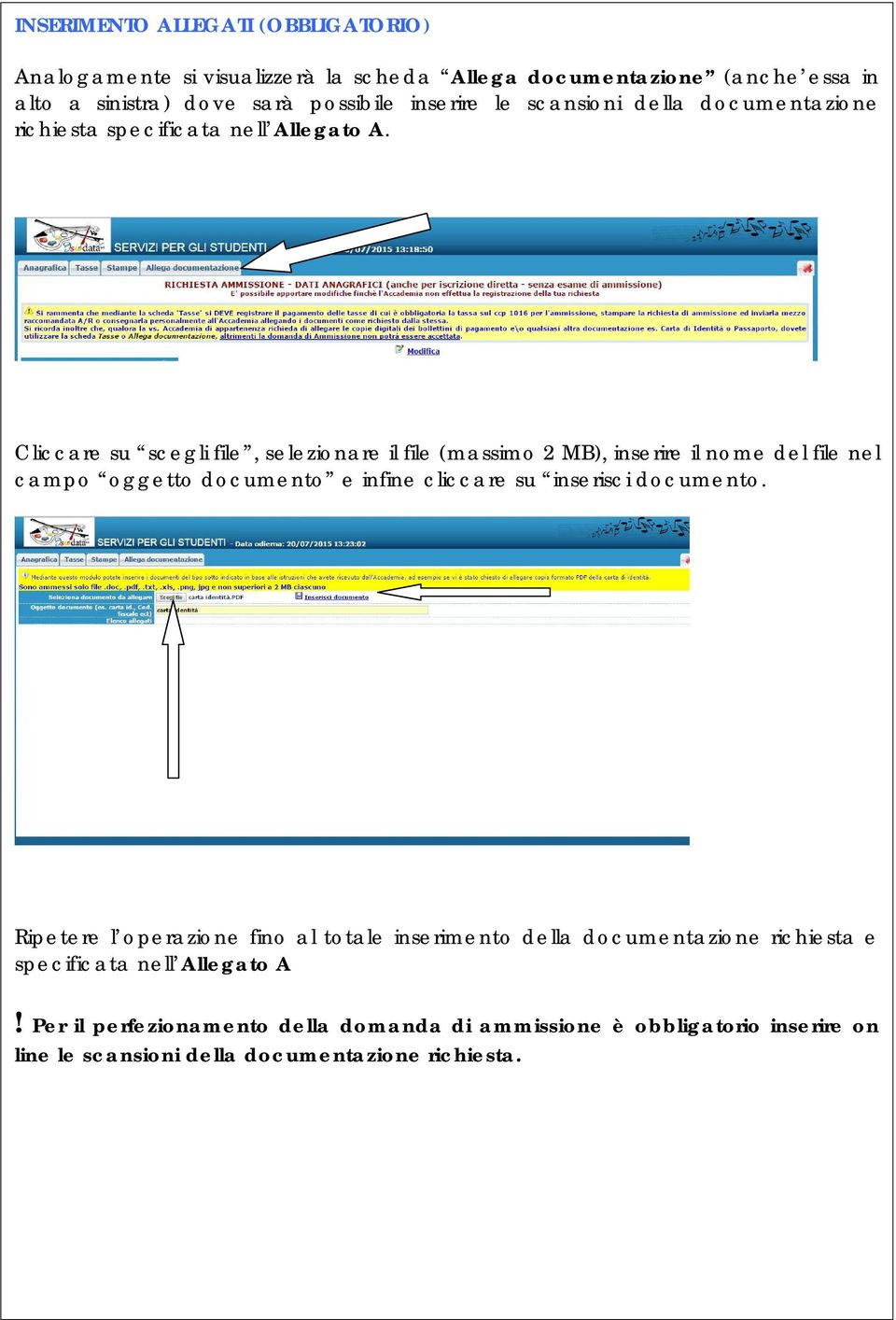 Cliccare su scegli file, selezionare il file (massimo 2 MB), inserire il nome del file nel campo oggetto documento e infine cliccare su inserisci documento.